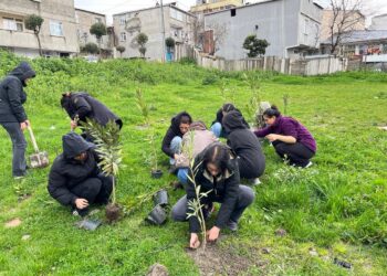 Abdullah Öcalan’ın doğum günü dolaysıyla genç kadınlar fidan dikti