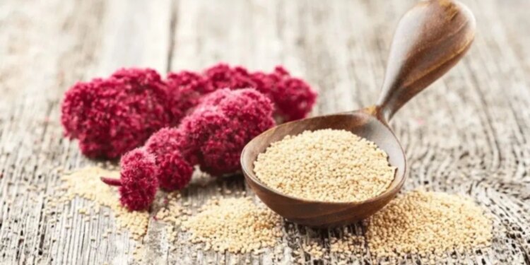 Azteklerden günümüze uzanan mucize şifa: Amarant nedir, faydaları nelerdir?