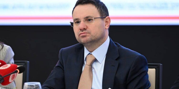 Adalet Bakanı’ndan açıklama: Rabia Naz ve Rojin Kabaiş dosyası için ekip kuruldu