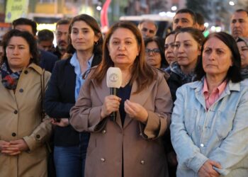 Amed’de 4 Nisan pikniğine yönelik saldırıya tepki