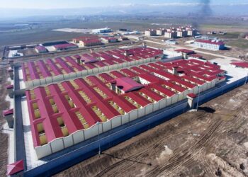 Hukuk ve sağlık örgütleri: Cezaevlerinde tecrit uygulamalarından vazgeçilmeli