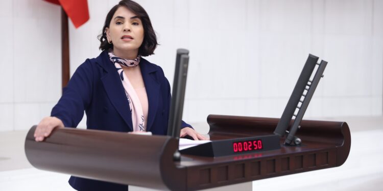 DEM Partili Aslan’dan infaz rejimi teklifi: Yaşam hakkı için düzenleme yapılmalı