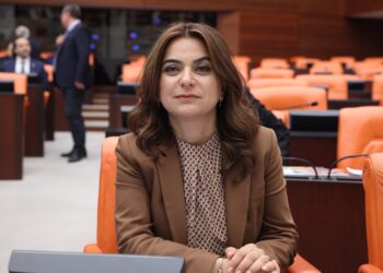 DEM Parti’den Gülistan Doku önergesi: Susuyorsunuz çünkü suç ortağısınız