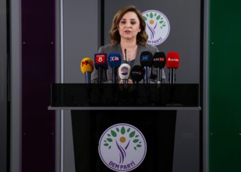Ayşegül Doğan: Süreç için hızlı yasal adımlar atılmalı