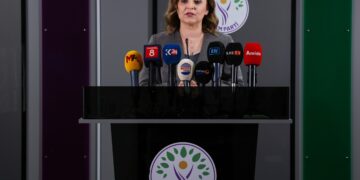 Ayşegül Doğan: Süreç için hızlı yasal adımlar atılmalı