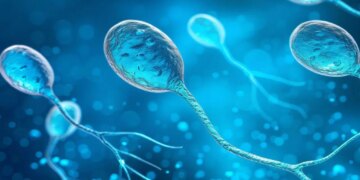 Stres hiç bilinmeyen o hastalığı tetikliyor! Erkek kısırlığında gözden kaçan ‘hormonal’ gerçek