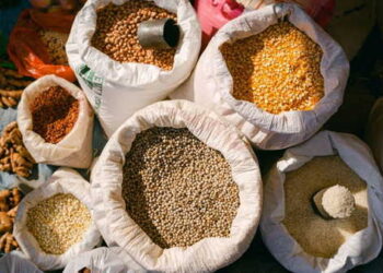 Ata tohumu eski tahıllar düşünüldüğü kadar sağlığa yararlı mı?