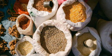 Ata tohumu eski tahıllar düşünüldüğü kadar sağlığa yararlı mı?