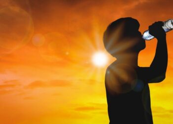 İklim krizinde yeni evre: Uzmanlardan ‘yıl boyu aşırı sıcak’ uyarısı