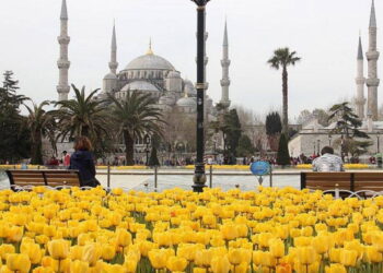 İstanbul Lale Festivali ne zaman? İstanbul Lale Festivali nerede yapılacak?