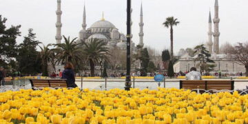 İstanbul Lale Festivali ne zaman? İstanbul Lale Festivali nerede yapılacak?