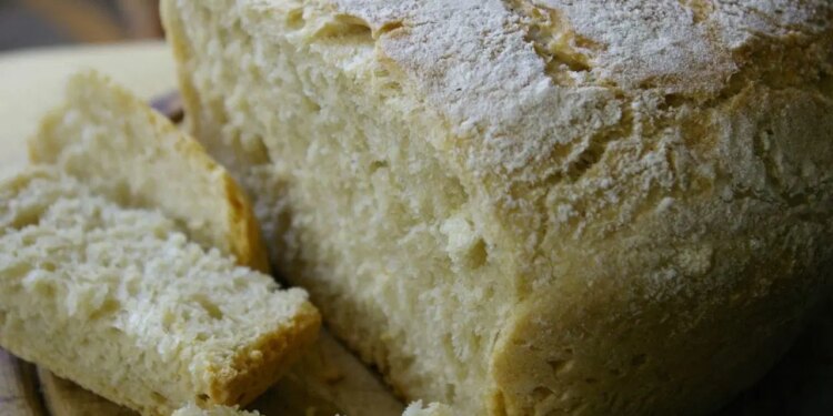 Fosil yakıtların yerini ekmek alabilir mi?