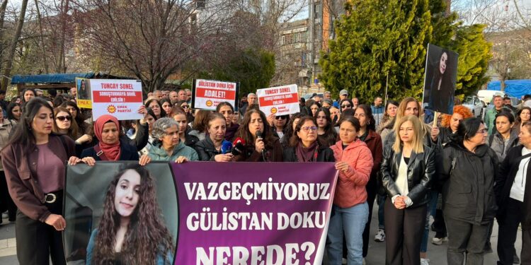 Kadınlardan Gülistan Doku açıklaması: Dönemin valisi Tuncay Sonel soruşturmaya dahil edilsin