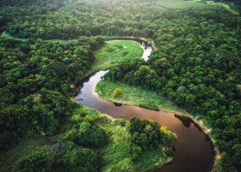 Amazon’un kayıp uygarlığı gün yüzüne çıktı: 2 bin 700 yıllık dev yol ağı keşfedildi