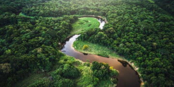 Amazon’un kayıp uygarlığı gün yüzüne çıktı: 2 bin 700 yıllık dev yol ağı keşfedildi
