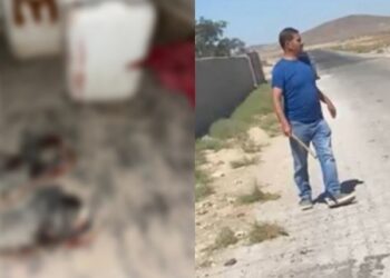 Niğde’de Kürt işçilere ırkçı saldırı davası: Tutuklama yok