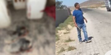 Niğde’de Kürt işçilere ırkçı saldırı davası: Tutuklama yok