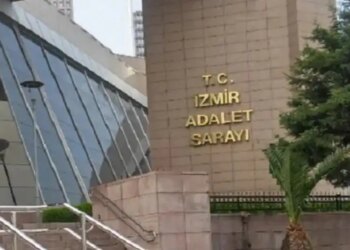 33 kedi ölümüne ilişkin soruşturma: Savcılık, veterinerin serbest bırakılmasına itiraz etti