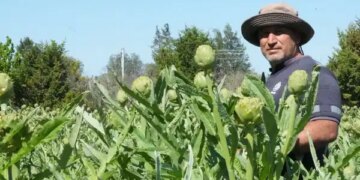 Aydın’ın yeşil altını için 600 km yol katediyorlar