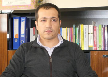 Mazlum Dinç: Sürecin hızlandırılması, Sayın Öcalan’ın özgürlüğünün sağlanması gerekiyor