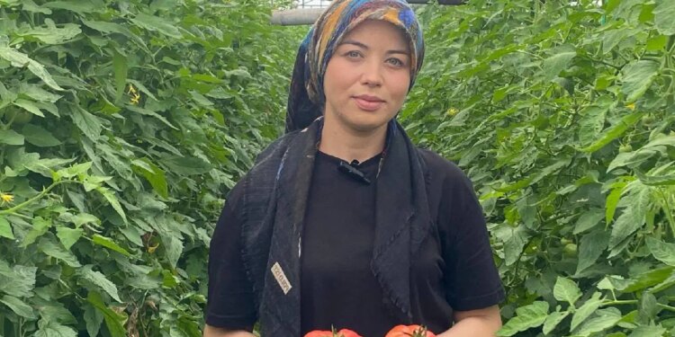 Genç çiftçi ilk hasadını yaptı: 500 kilo mahsul topladı