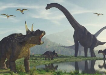 Dinozorlar dünyasında milyon yıllık sır çözüldü: Denizlerde neden hiç dinozor yaşamadı?