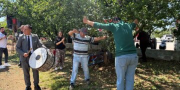 Rekolte 4 kat artınca hasat davul, zurna ile yapıldı