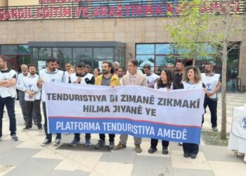 ‘Anadilde sağlık hakkı güvence altına alınsın’