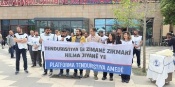 ‘Anadilde sağlık hakkı güvence altına alınsın’