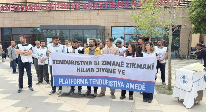 ‘Anadilde sağlık hakkı güvence altına alınsın’