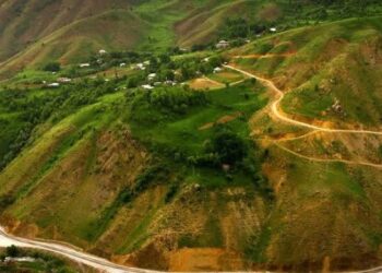 Gever’de patlama: Bir çocuk yaralandı, çok sayıda koyun öldü