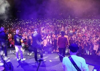 Mêrdîn’de coşkulu Koma Amed konseri