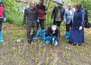 Doğa yürüyüşünde gördü, hayatı değişti! Doğadan toplaması yasak, bahçede yetiştirmesi servet değerinde….