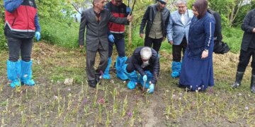 Doğa yürüyüşünde gördü, hayatı değişti! Doğadan toplaması yasak, bahçede yetiştirmesi servet değerinde….