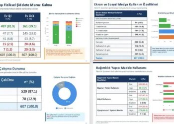 Resmi saha araştırması: Çocukları suça yoksulluk, şiddet ve eğitimden kopuş sürüklüyor