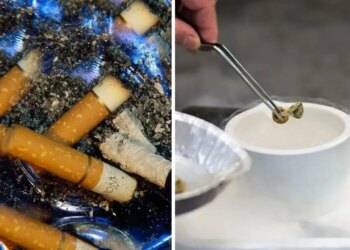 ‘Sihirli’ mantarlar sigarayı bırakmaya yardımcı olabilir mi?