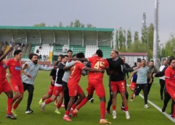 Siyasetçilerden Amedspor’a tebrik mesajları
