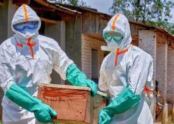 Dünya alarma geçti, kırmızı kod verildi: Ölümcül Ebola salgını 11 ülkeyi tehdit ediyor!