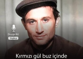 Kırmızı gül buz içinde