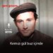 Kırmızı gül buz içinde