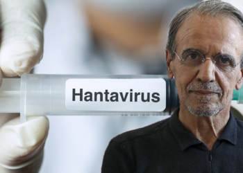 Hantavirüs Paniği Büyüyor: Prof. Ceyhan’dan Kritik Uyarılar