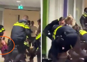 Hollanda'ya Sığınan Hamile Kadına Polisten Vahşi Müdahale