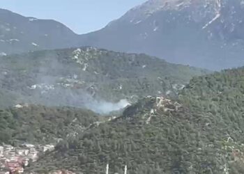 Muğla'da Orman Yangını