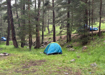 Piknik Keyfi Kabusa Döndü! Ağaca Yıldırım Düştü, Hayati Tehlikesi Var