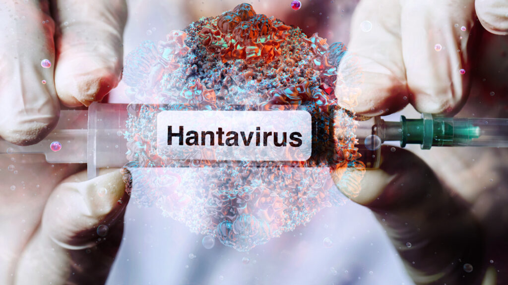 Sağlık Bakanlığı’ndan Hantavirüs Açıklaması: 'Türkiye’de Pozitif Vaka Yok'