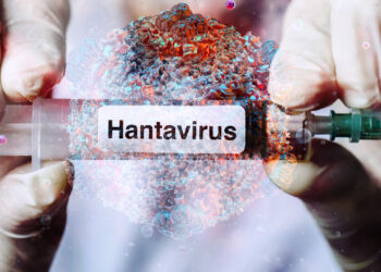 Sağlık Bakanlığı’ndan Hantavirüs Açıklaması: 'Türkiye’de Pozitif Vaka Yok'