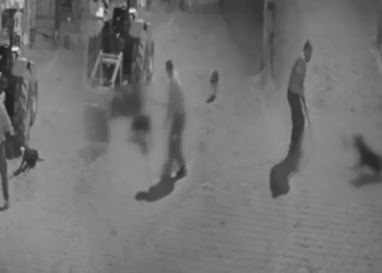 Tasmalı Köpeği Demir Çubukla Öldüren Zanlı Tutuklandı