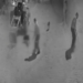 Tasmalı Köpeği Demir Çubukla Öldüren Zanlı Tutuklandı