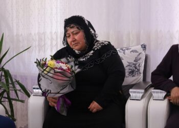 Rojin Kabaiş’in annesi: Katilleri bulun