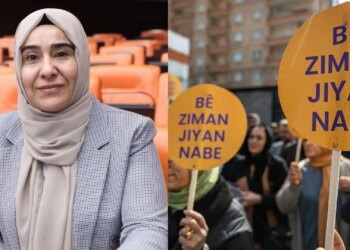 DEM Parti’den Kürtçe için Meclis araştırma önergesi